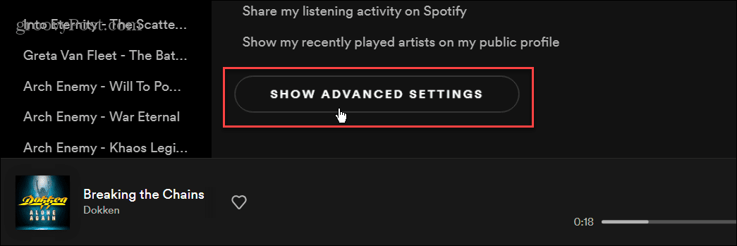 Visa avancerade inställningar Spotify