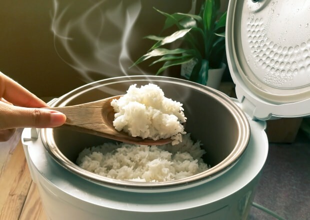 Vilka är funktionerna med baldo ris