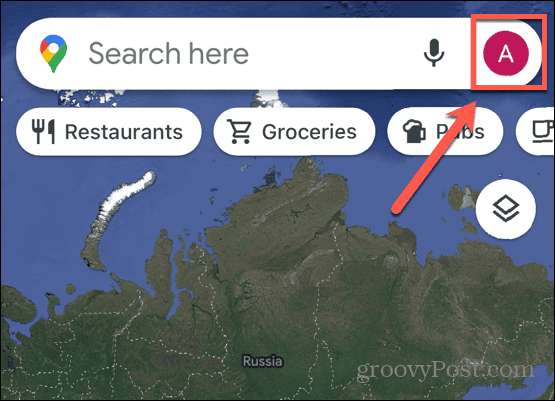 google maps profilikon