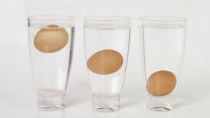 Hur förstår inaktuella ägg?
