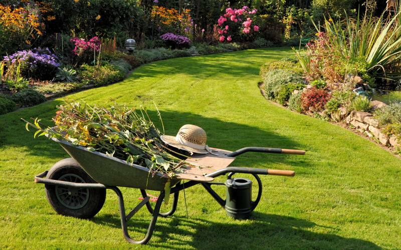 Hur görs trädgårdsstädningen? Förslag på trädgårdstvätt och beställning!