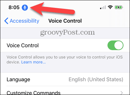 iPhone-röstkontroll aktiverad