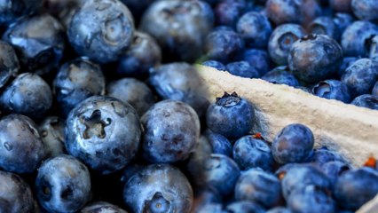 Vilka är fördelarna med blåbär för huden? Hudvårdmasker tillverkade med blåbär