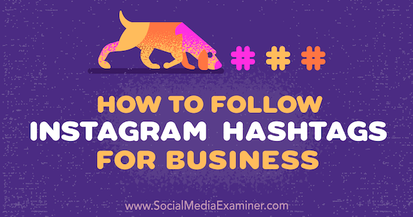 Så här följer du Instagram Hashtags for Business: Social Media Examiner