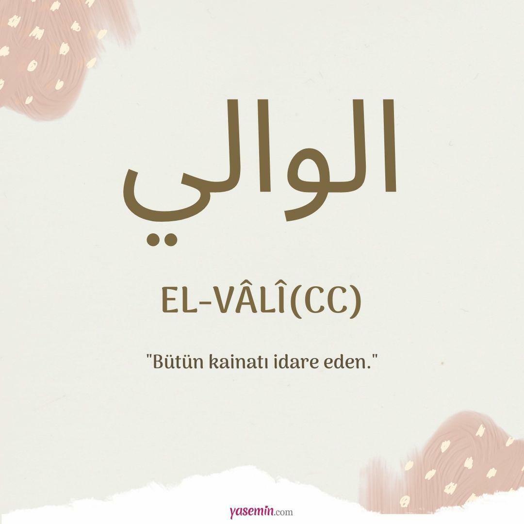 Vad betyder al-Vali (c.c)?