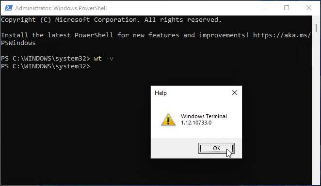 version av windows terminal