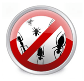 Installera Anti-virus för att squash buggar och nasy viruskod!