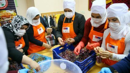 Syriska kvinnor lär sig att göra druvor till melass i Izmir