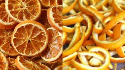 Hur torkas apelsinen? Grönsaks- och frukttorkningsmetoder hemma