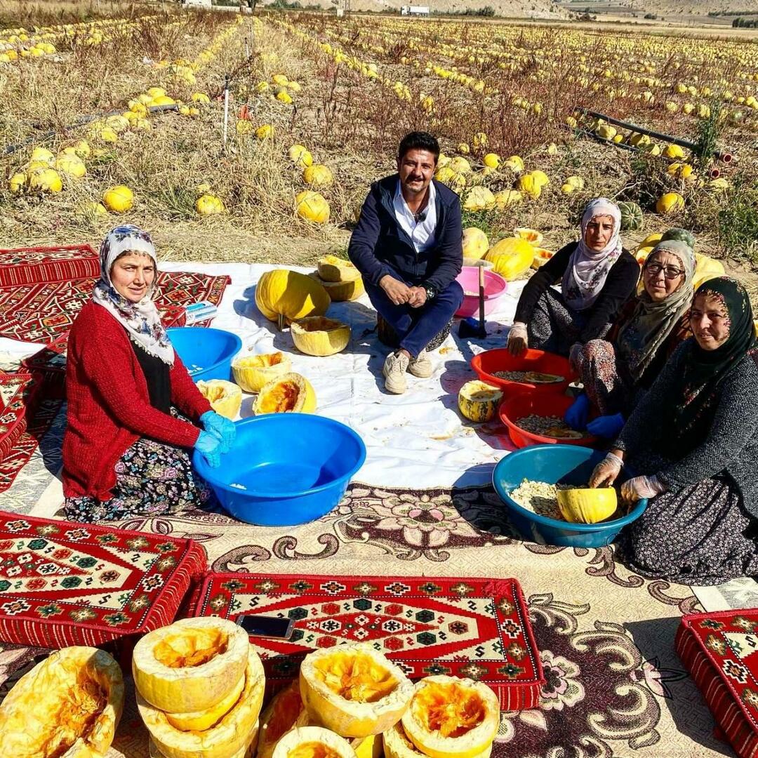 Kürşat Başar gick till pumpafröskörden med programmet Day Night