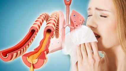 Vad orsakar sputum? Vilka sjukdomar är sputum en förkunnare av sjukdomar? Naturliga sätt att utvisa sputum ...