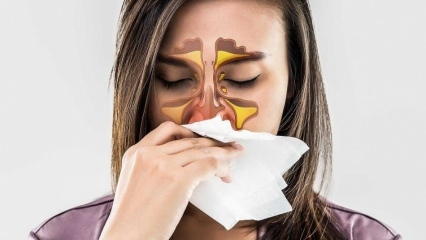 Vad är en allergi? Vilka är symtomen på allergisk rinit? Hur många typer av allergier finns det? 