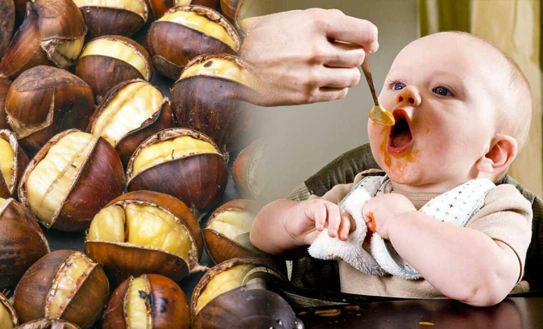 Kan bebisar äta kastanjer? Hur gör man kastanjepudding?