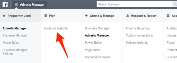 Facebook Ads Manager-meny som visar publikinsikter