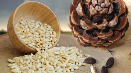 Vilka är näringsvärdena för pinjenötter? Vilka är fördelarna med pinjenötter?