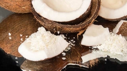 Hur man klipper kokosnöt är det mest praktiska?