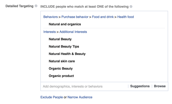 Facebook-annons detaljerade inriktningsalternativ exempel