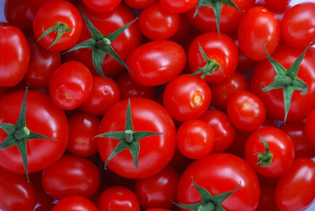 Hur man väljer menemenlik-tomater
