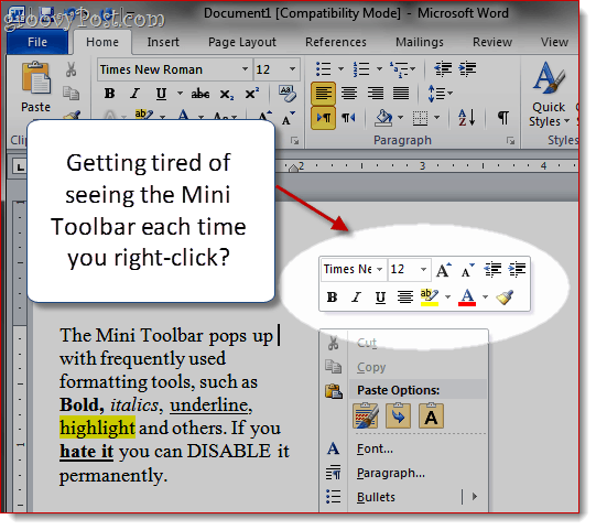 Ta bort Mini-Toolbar i Word 2007 och Word 2010