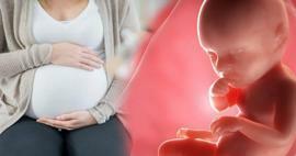 Hur får bebisar näringsämnen från mamman under graviditeten? Hur man matar barnet i livmodern från mamman