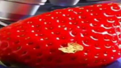 Jordgubbvideo som markerade sociala medier! Du lägger inte jordgubben i munnen igen ...