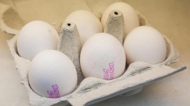 Hur man förstår ett bra ägg