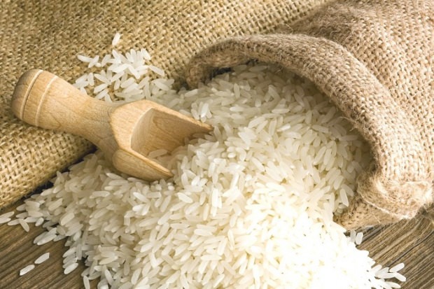 Vad är Baldo ris? Vilka är funktionerna i Baldo ris? 2020 baldo ris priser