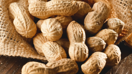 Vilka är fördelarna med jordnötter? Vilka sjukdomar är jordnötter bra för?