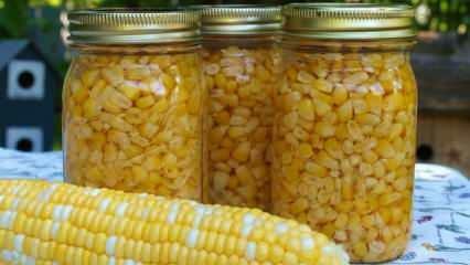 Hur lagras majs? De enklaste förvaringsmetoderna för majs! Beredning av vintermajs