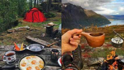 Vad är den nödvändiga köksutrustningen för camping? Lista med nödvändig kökutrustning för camping ...