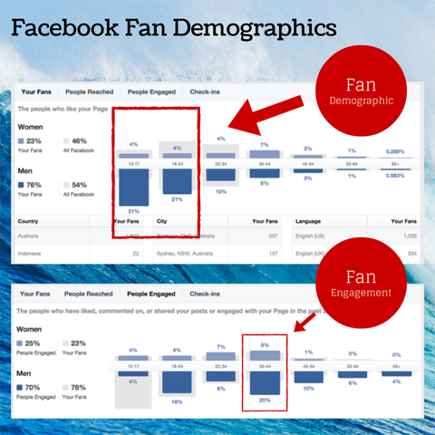 facebook fan demografiskt diagram