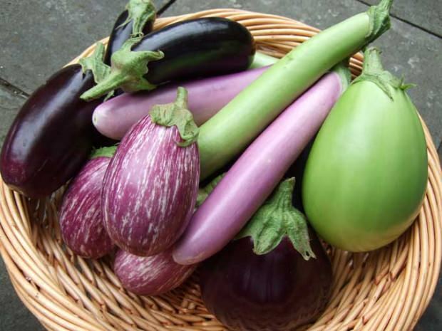 Fördelarna med aubergine stjälkar