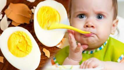Hur ska äggulor ges till spädbarn? Hur många månader börjar ägget? Baby ägg recept