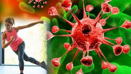 Hur man stärker det svaga immunsystemet Övningar och botemedel som stärker immunförsvaret