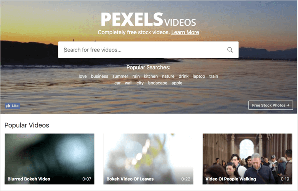 Pexels erbjuder gratis stockvideo som du kan använda i dina LinkedIn-videoannonser.