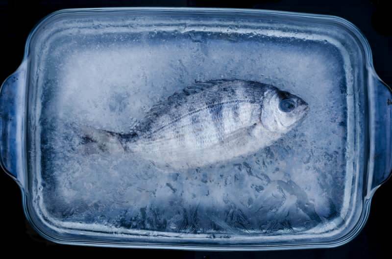 Hur många dagar ska fisken i frysen konsumeras?