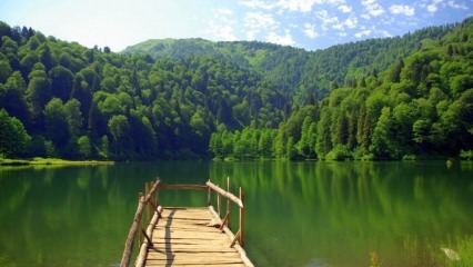 Trabzon kommer att vitalisera turismen med lavendelträdgårdar!