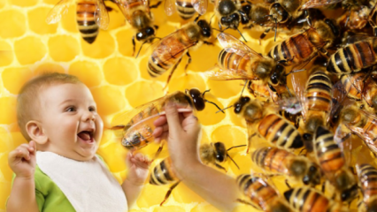 Hur ska honung ges till spädbarn? Vad ska inte ges innan 1 års ålder