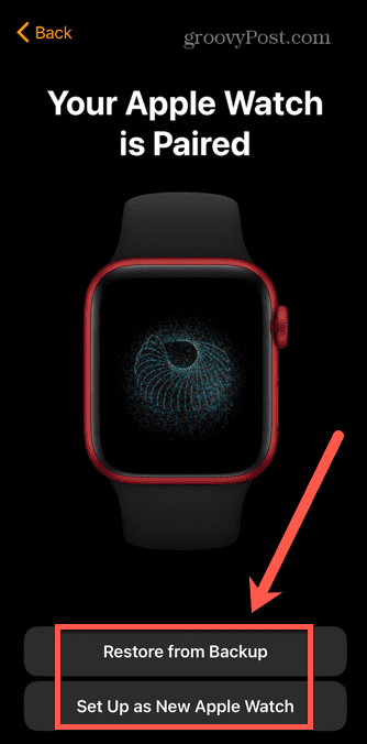Apple Watch återställ från säkerhetskopia