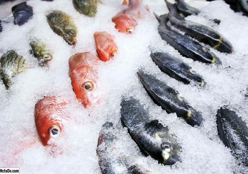 Hur man lagrar fisk i frysen