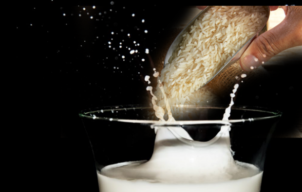 Vilka är fördelarna med rismjölk?