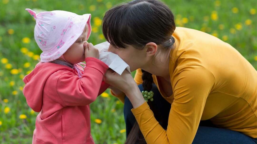 Vad är skillnaden mellan säsongsbetonade allergier och förkylningar hos barn?