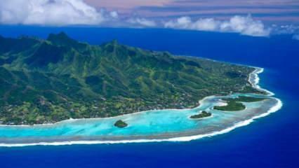 Dold skönhet i Oceanien: Cooköarna