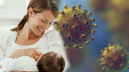 Går koronavirus från mjölk till barn? Uppmärksamhet på blivande mödrar under pandemiprocessen! 