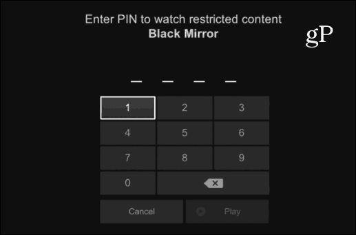 Netflix-PIN
