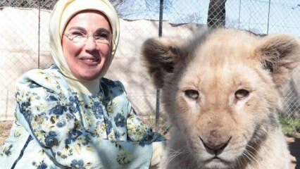 First Lady Erdoğan tog ett foto med baby lejon