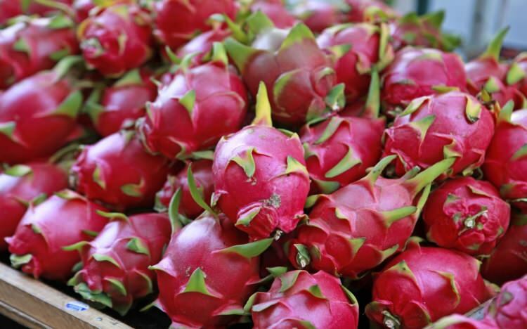 Känner du till fördelarna med Pitaya?