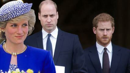Skyll prinsarna till BBC... Prins William: Den intervjun bröt upp vår familj!