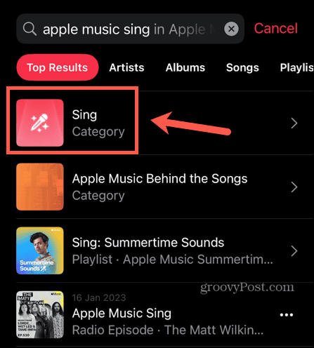 kategorin apple music sing