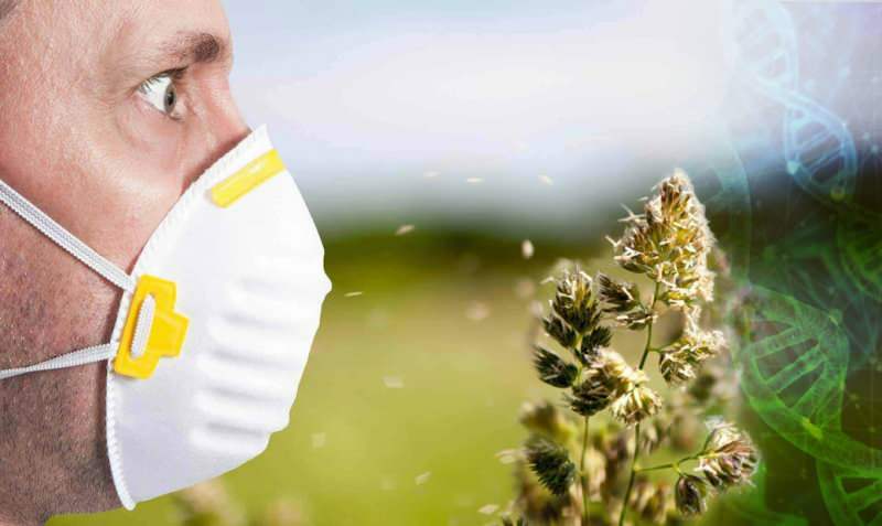 Varför började pollenallergin tidigt!